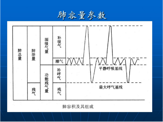 肺功能圖片.png